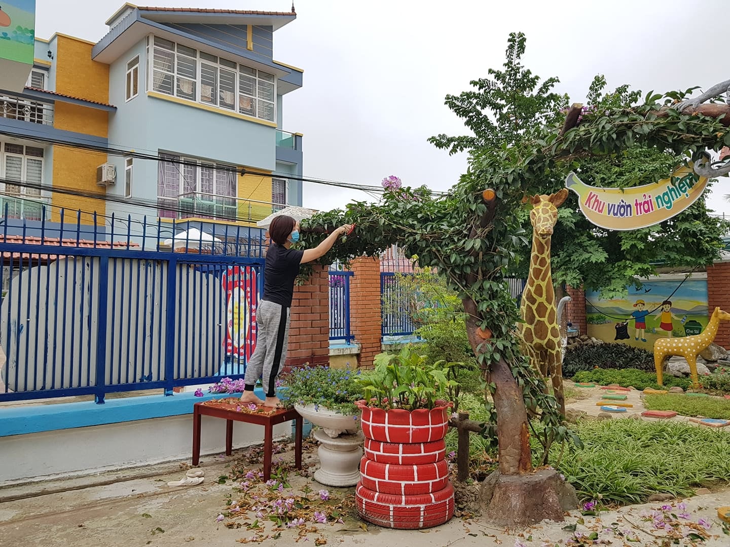 255484385 404456734717375 652171884794519472 n