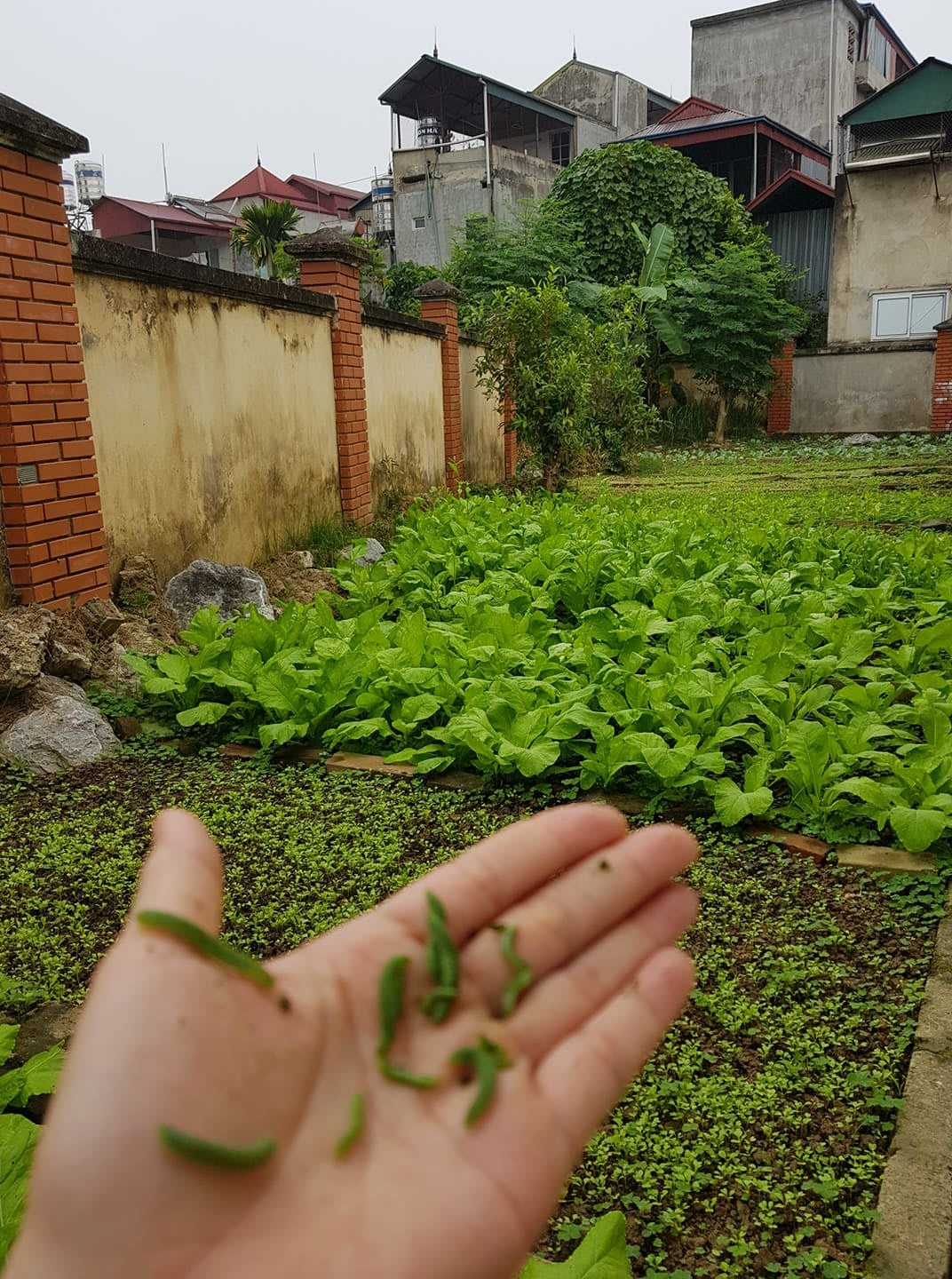 257452506 404456771384038 3572867525787428480 n